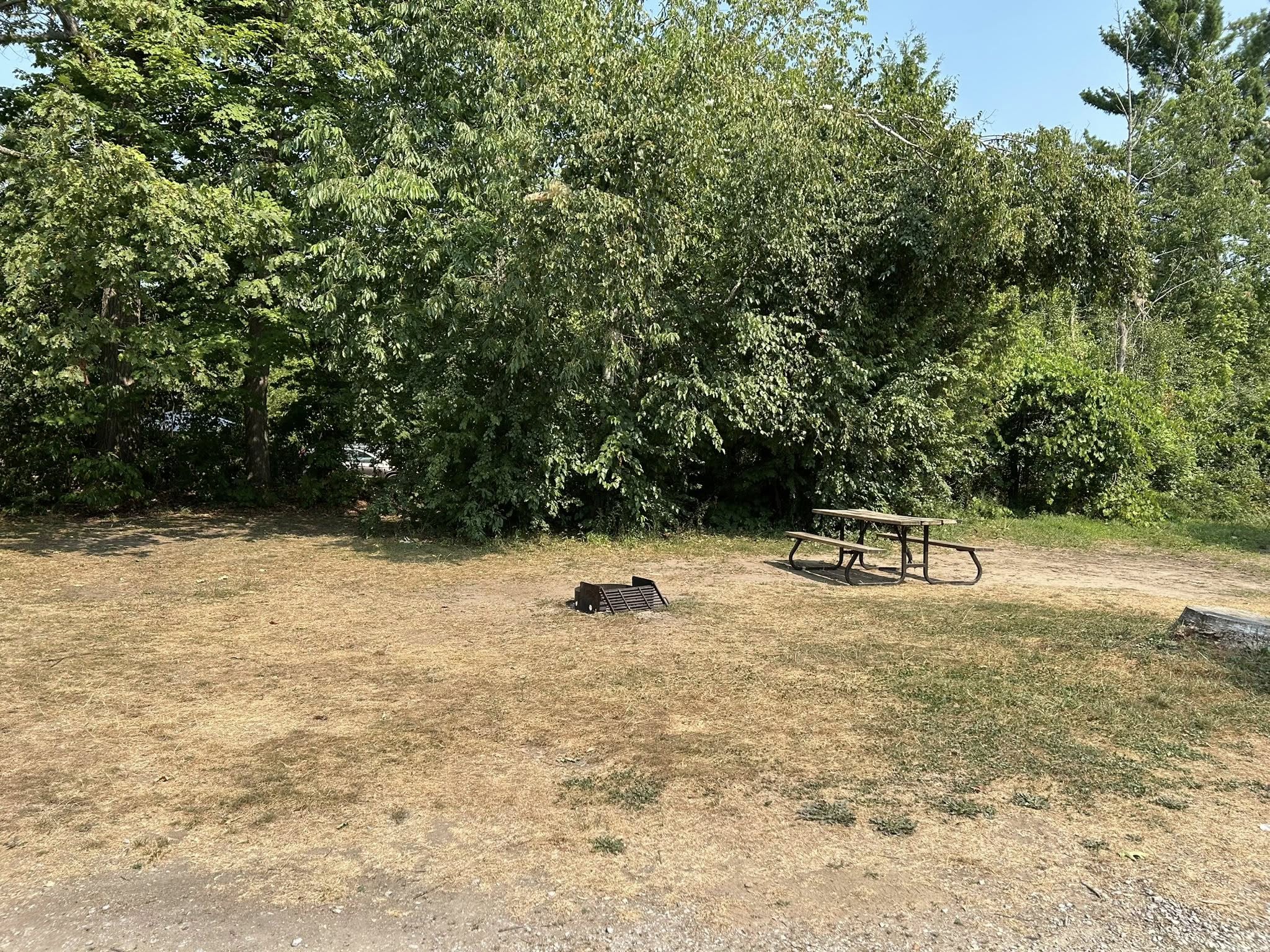 Ash & Fir Campground at Balsam Lake Provincial Park