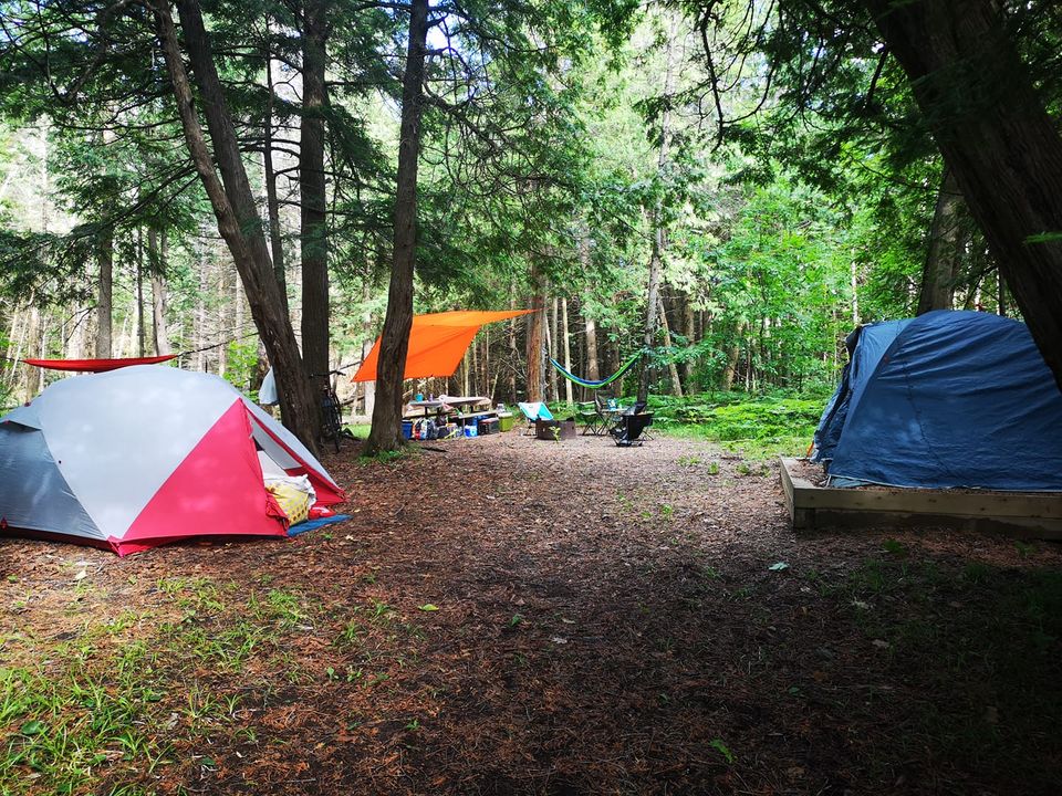 Eco Walk-In Sites Campground at Balsam Lake Provincial Park