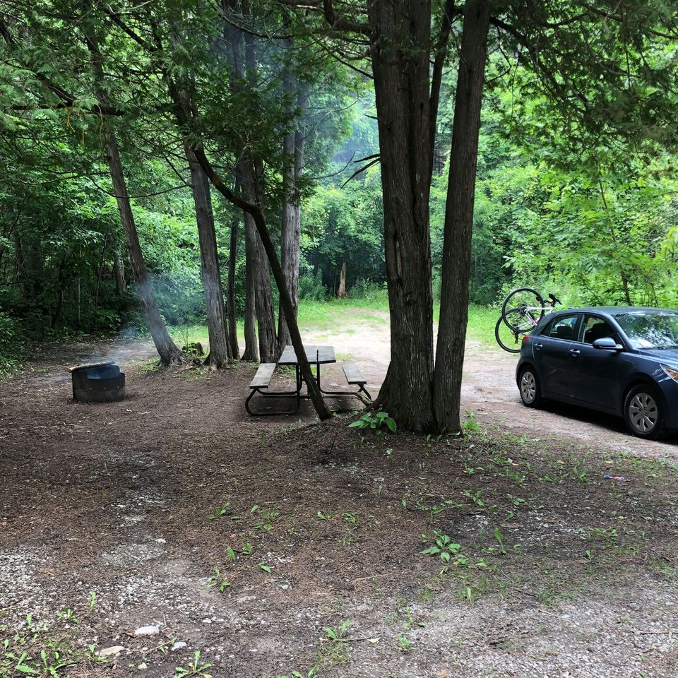Oak & Fir Campground at Balsam Lake Provincial Park