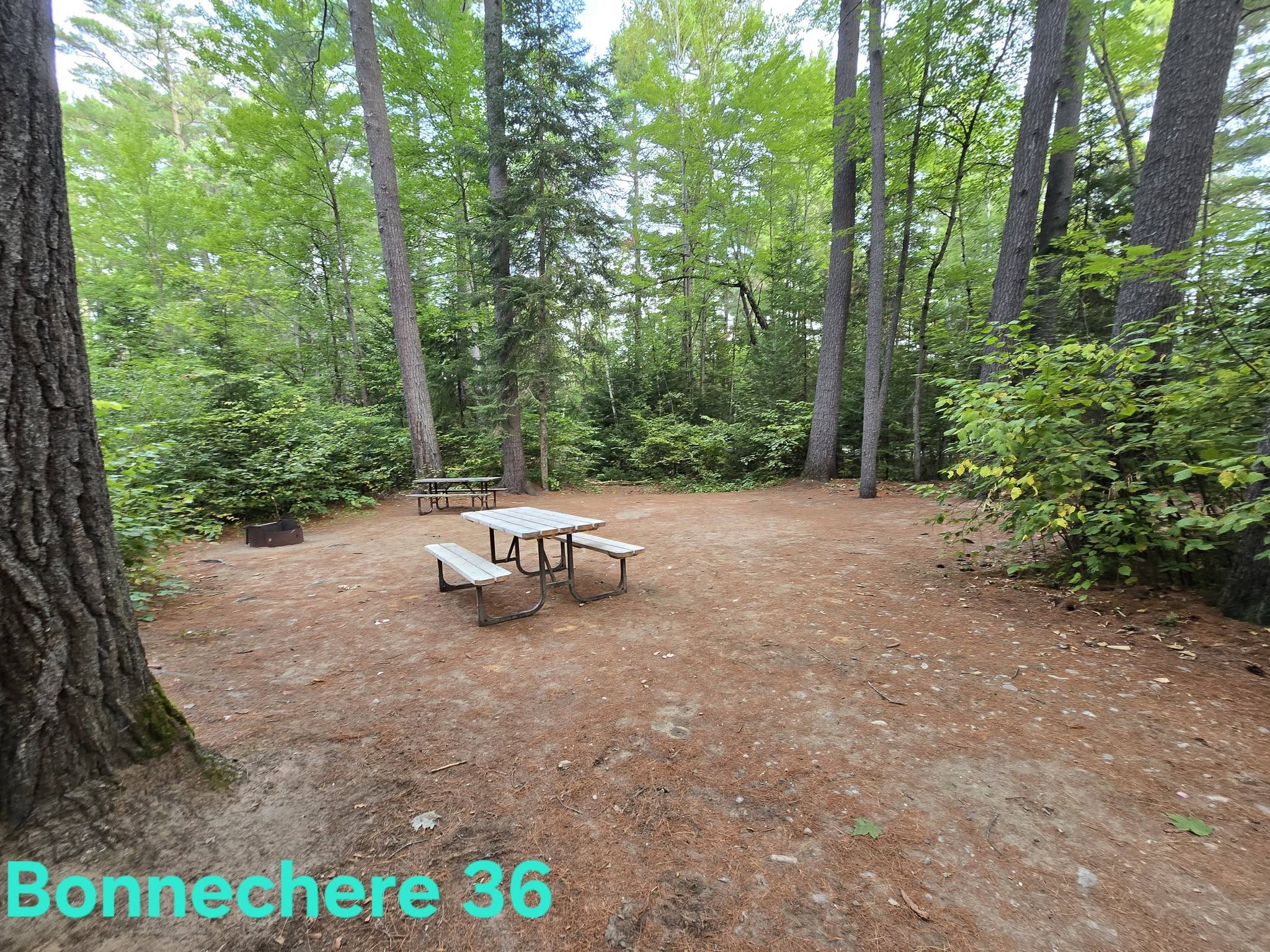 Tall Pines & Sandy Flats Campground at Bonnechere Provincial Park