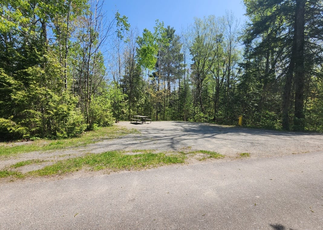 Assinika A Campground at Marten River Provincial Park
